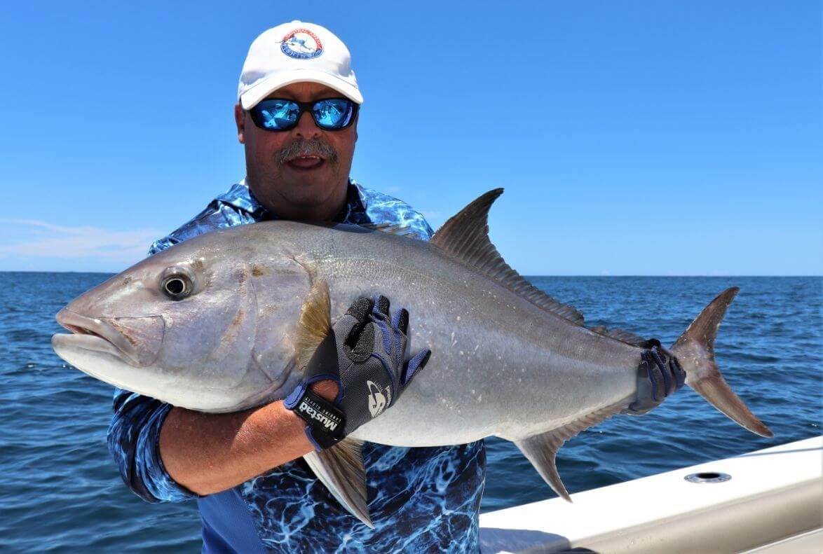 A jack species similar to the Bluefin Trevally caught in Panama