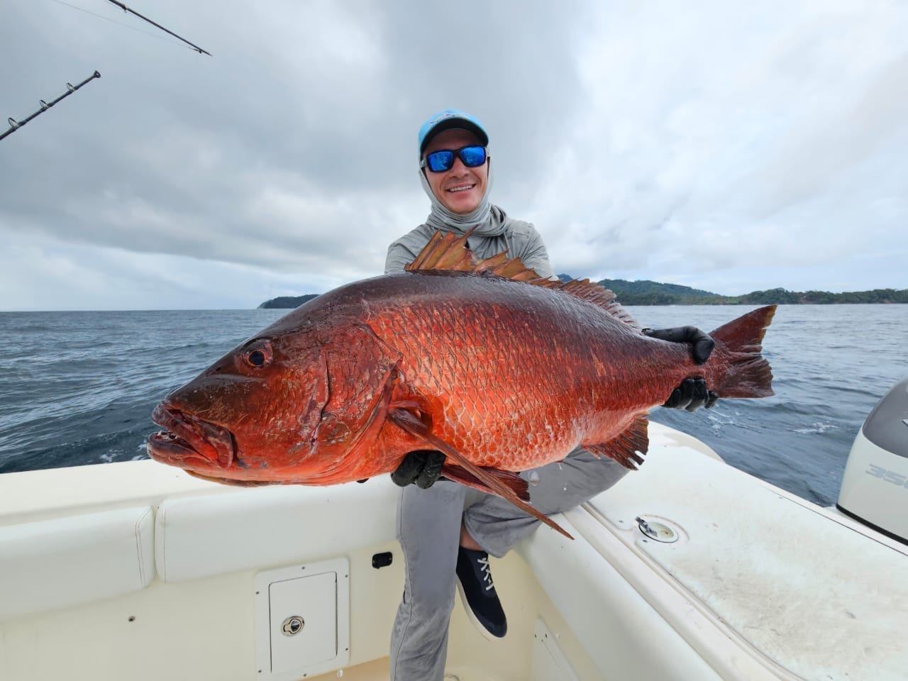 A big Panama cubera snapper boatside