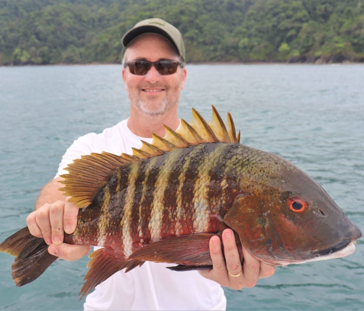 A Mexican barred pargo caught inshore