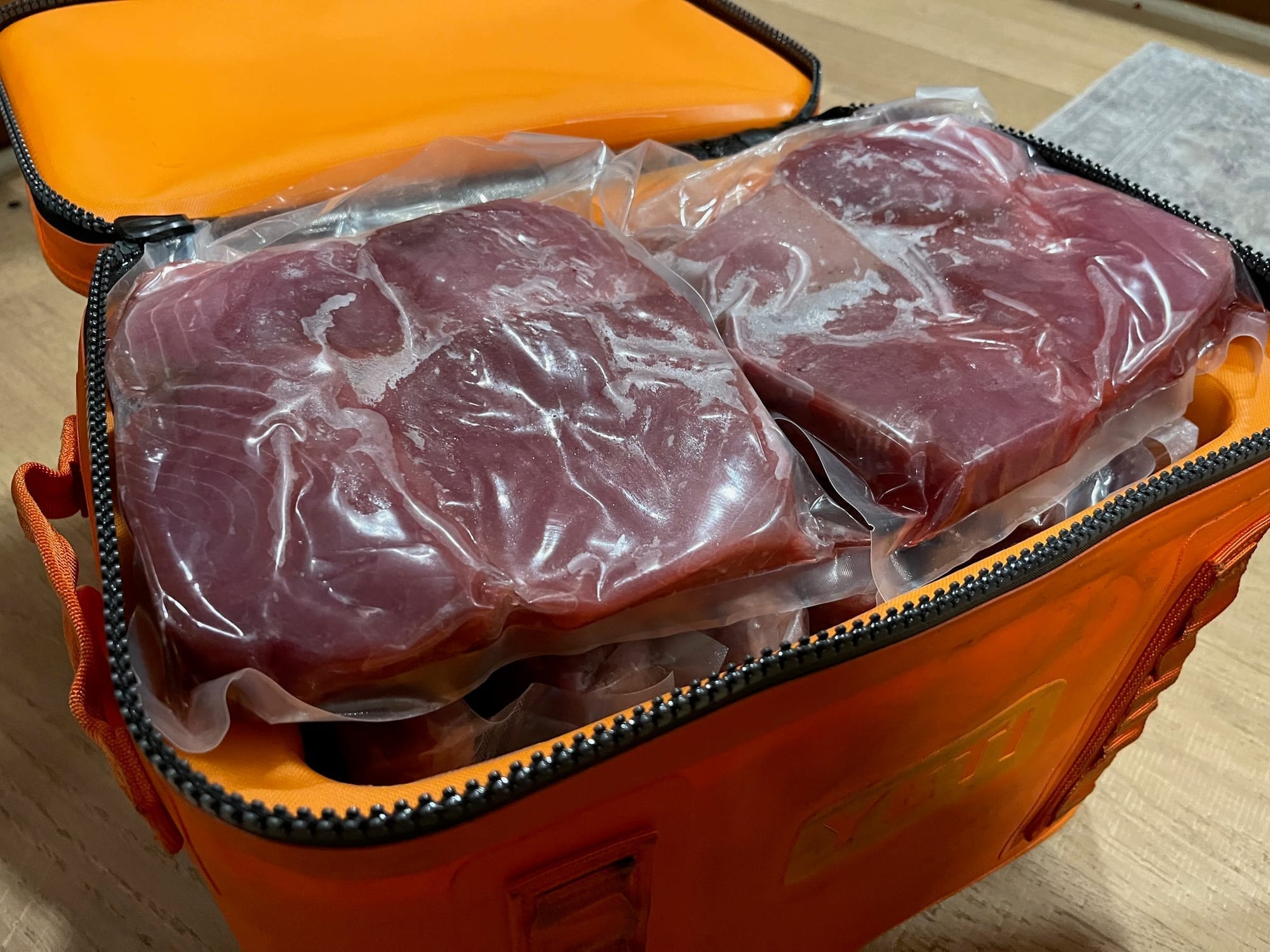 Vacuum-sealed fillets packed for travel