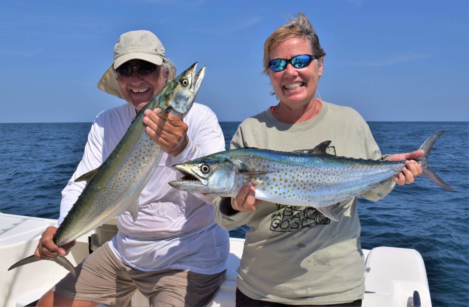 A sierra mackerel caught inshore