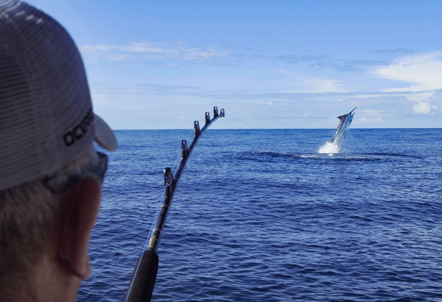 A black marlin jumping clear of the water