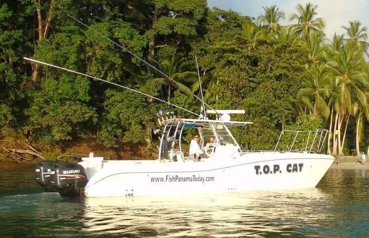 Inshore catch in Boca Chica