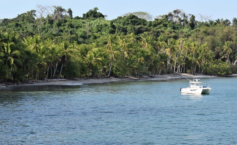 March 2018 catch in the Gulf of Chiriquí