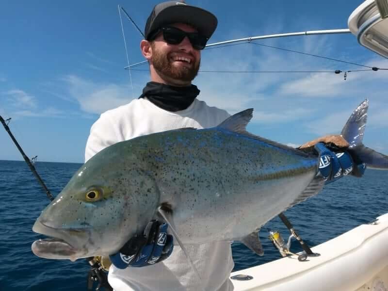 Yellowfin tuna catch in the Gulf of Chiriqui