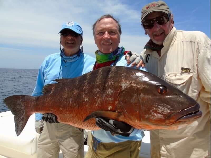Panama fishing report catch