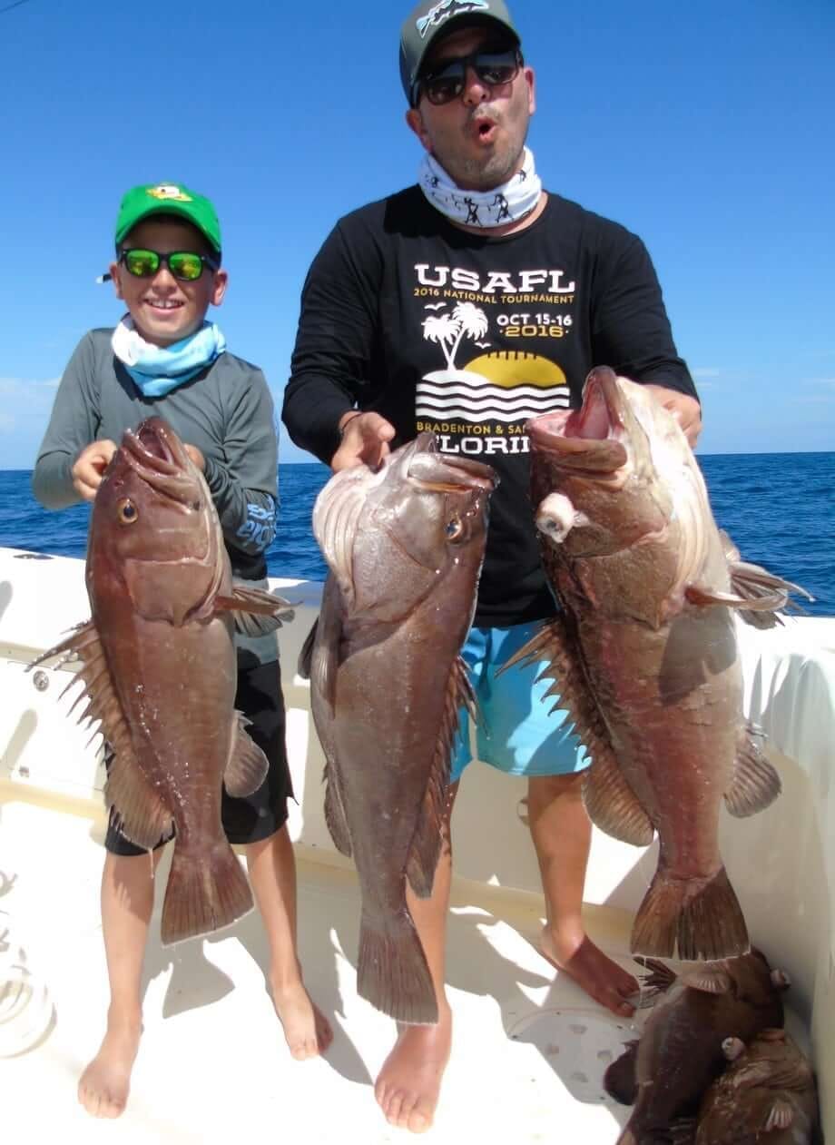 Yellowfin tuna landed offshore
