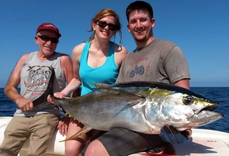 Yellowfin tuna landed during a December trip in the Gulf of Chiriqui