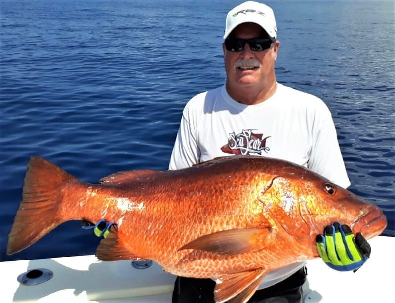 Big yellowfin tuna landed offshore