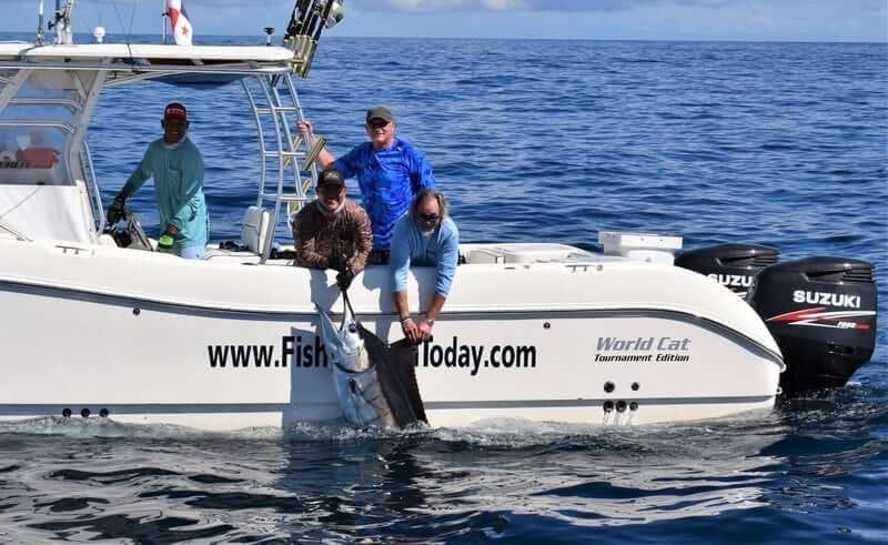 Yellowfin tuna action offshore