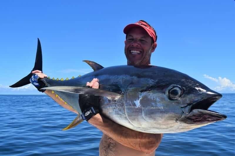 Monster yellowfin tuna landed