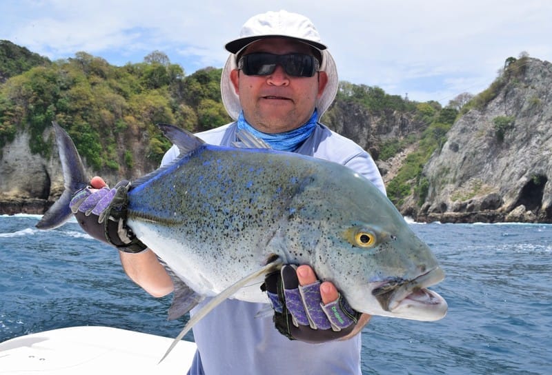 Cubera snapper caught inshore
