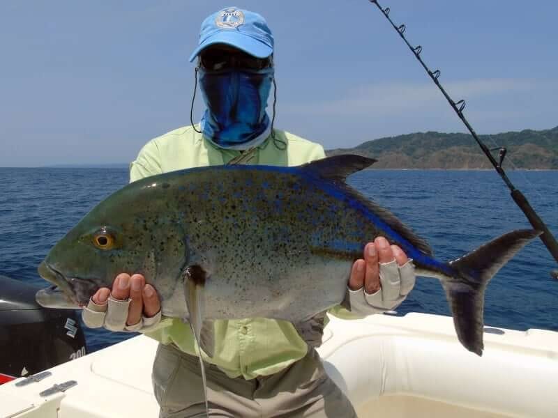 Inshore species caught off the island