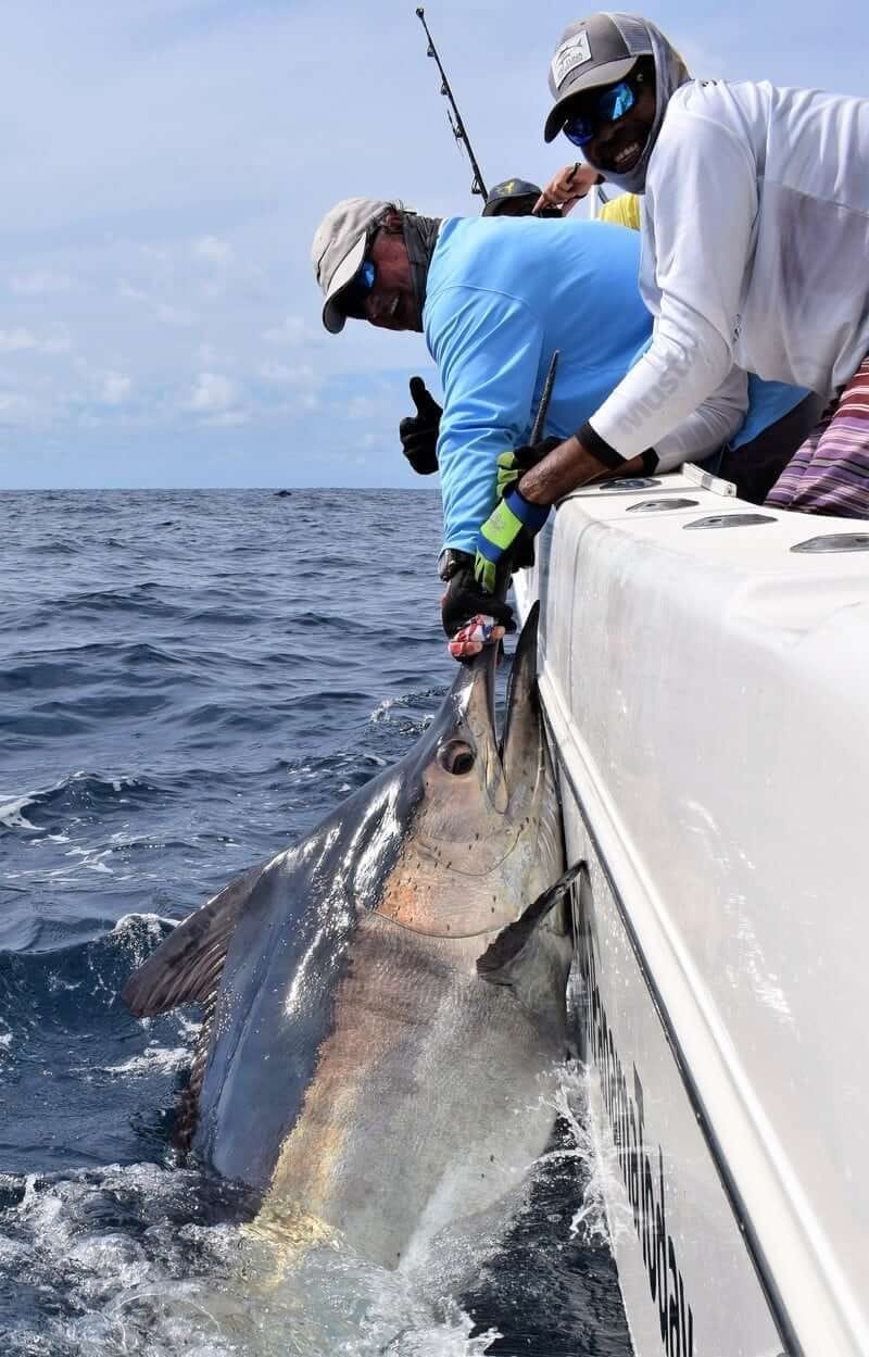 Angler with catch fishing in Panama