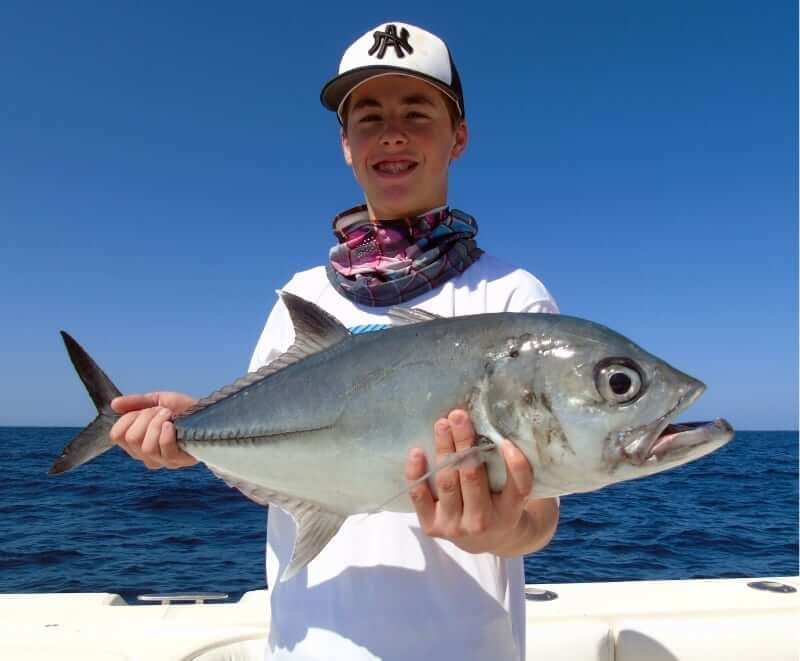 Yellowfin tuna catch in Panama