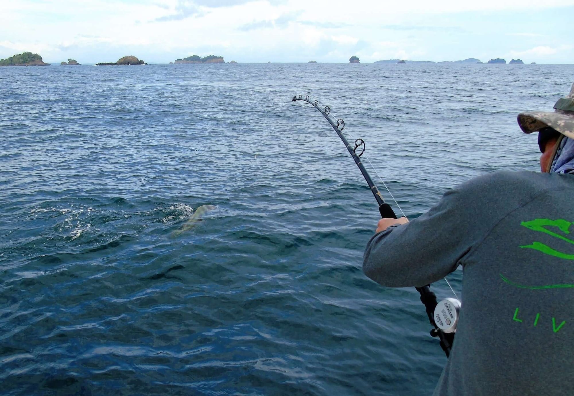 Roosterfish at Sport Fish Panama Island Lodge