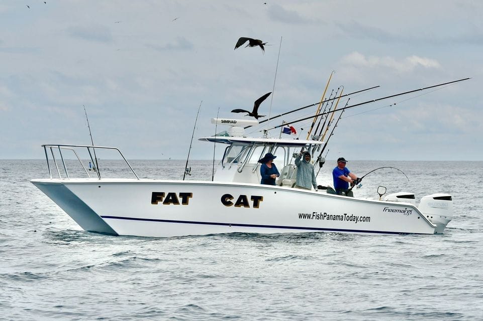 Tuna tubes and bait tanks aboard the boat