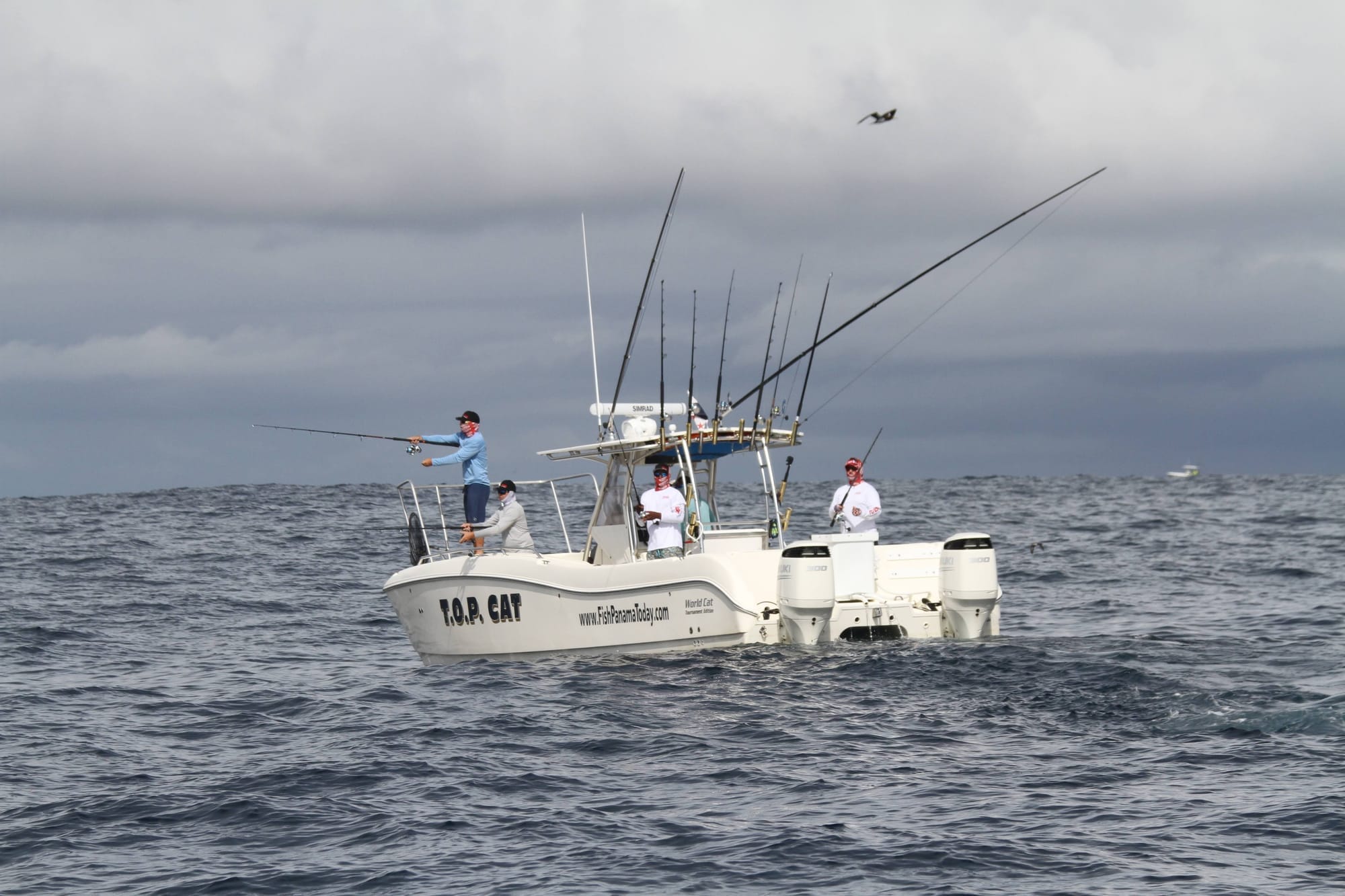 Deep sea fishing experience in Panama