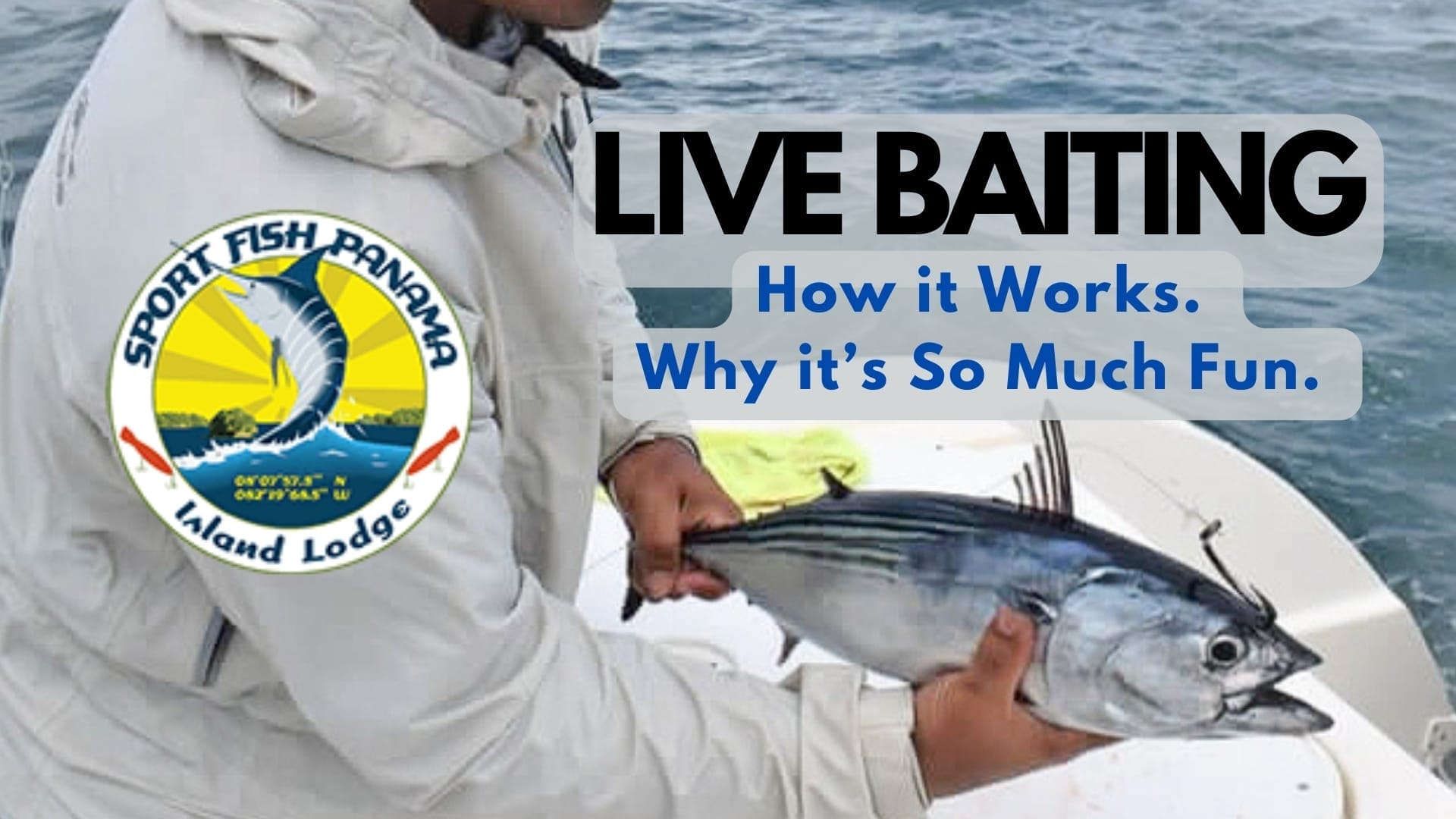 Live baiting in the Gulf of Chiriqui
