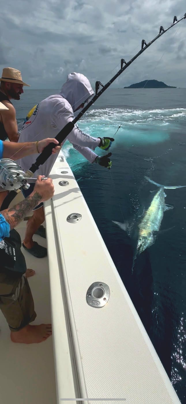 Marlin caught off Panama