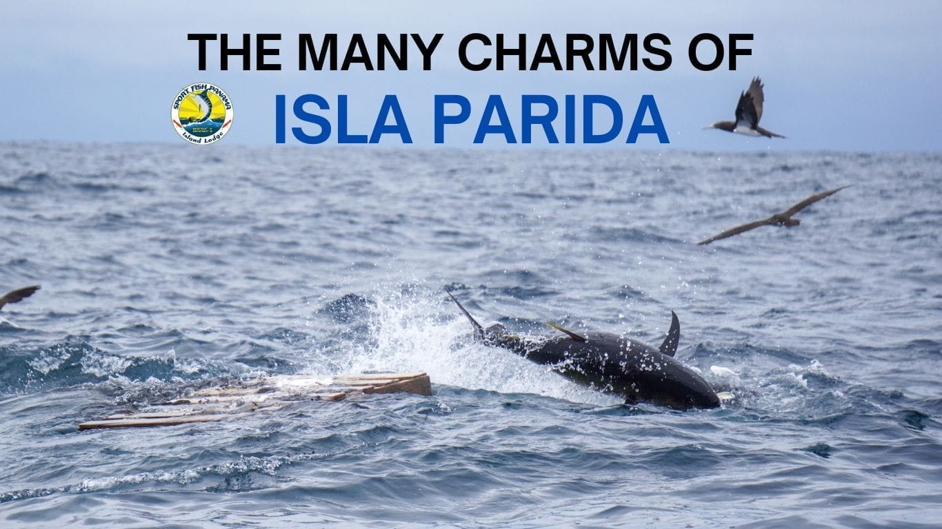 Isla Parida and the Gulf of Chiriqui, home of Sport Fish Panama Island Lodge
