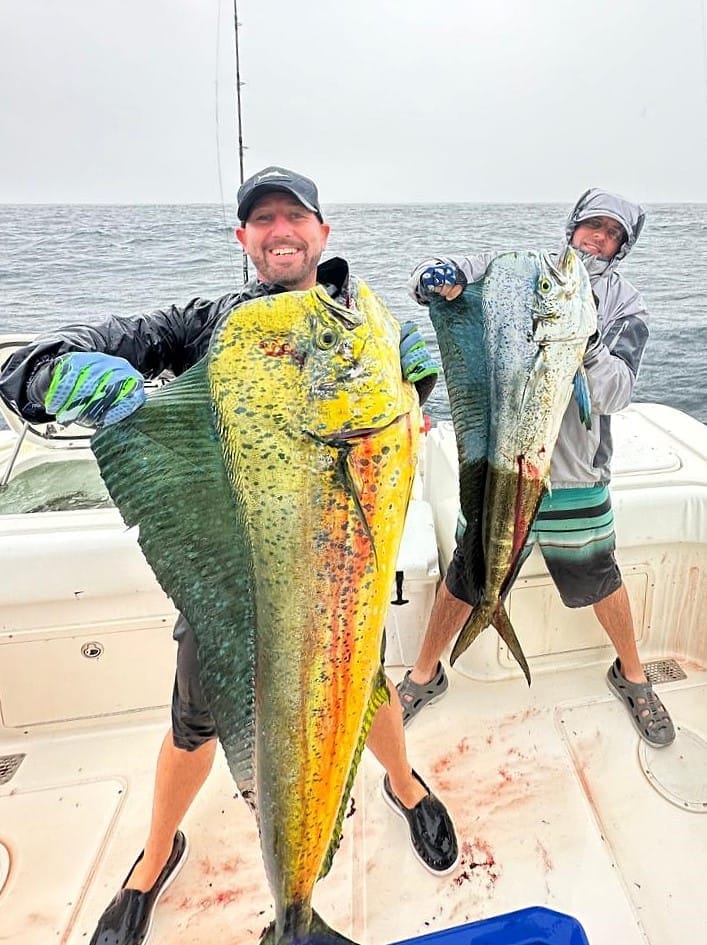 Inshore catch near the island lodge