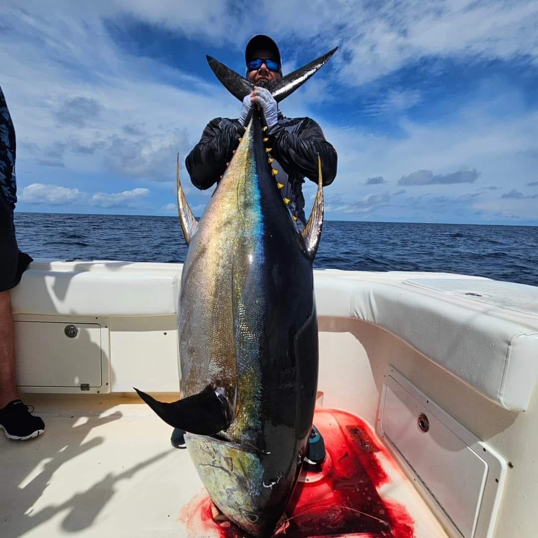 Vertical photo of fish
